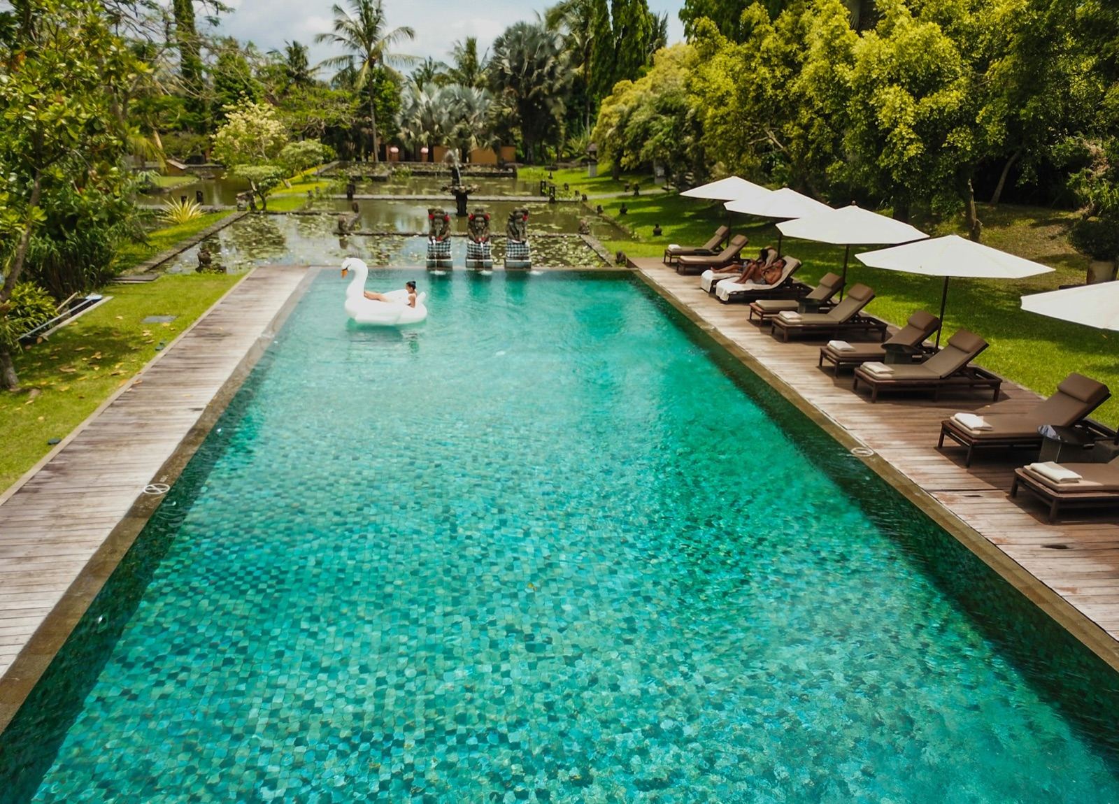 A long pool between palms and loungers